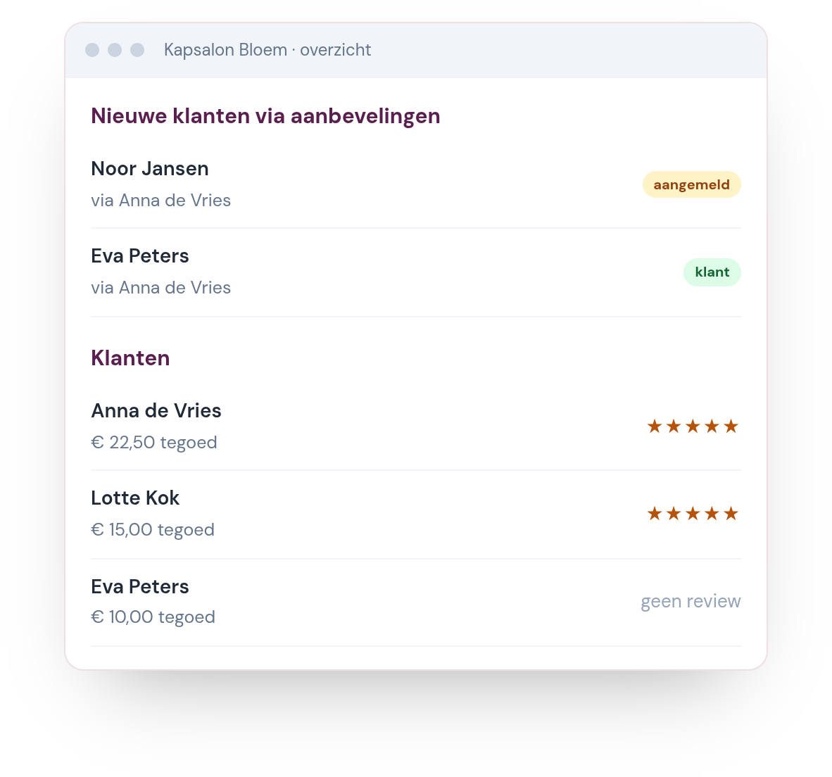 Voorbeeld: het overzicht van Kapsalon Bloem, met de nieuwe klanten via aanbevelingen en de klantenlijst met tegoed en Google-reviews
